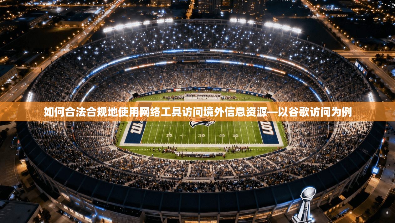 如何合法合规地使用网络工具访问境外信息资源—以谷歌访问为例  第1张