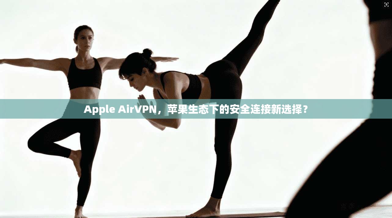 Apple AirVPN，苹果生态下的安全连接新选择？  第1张