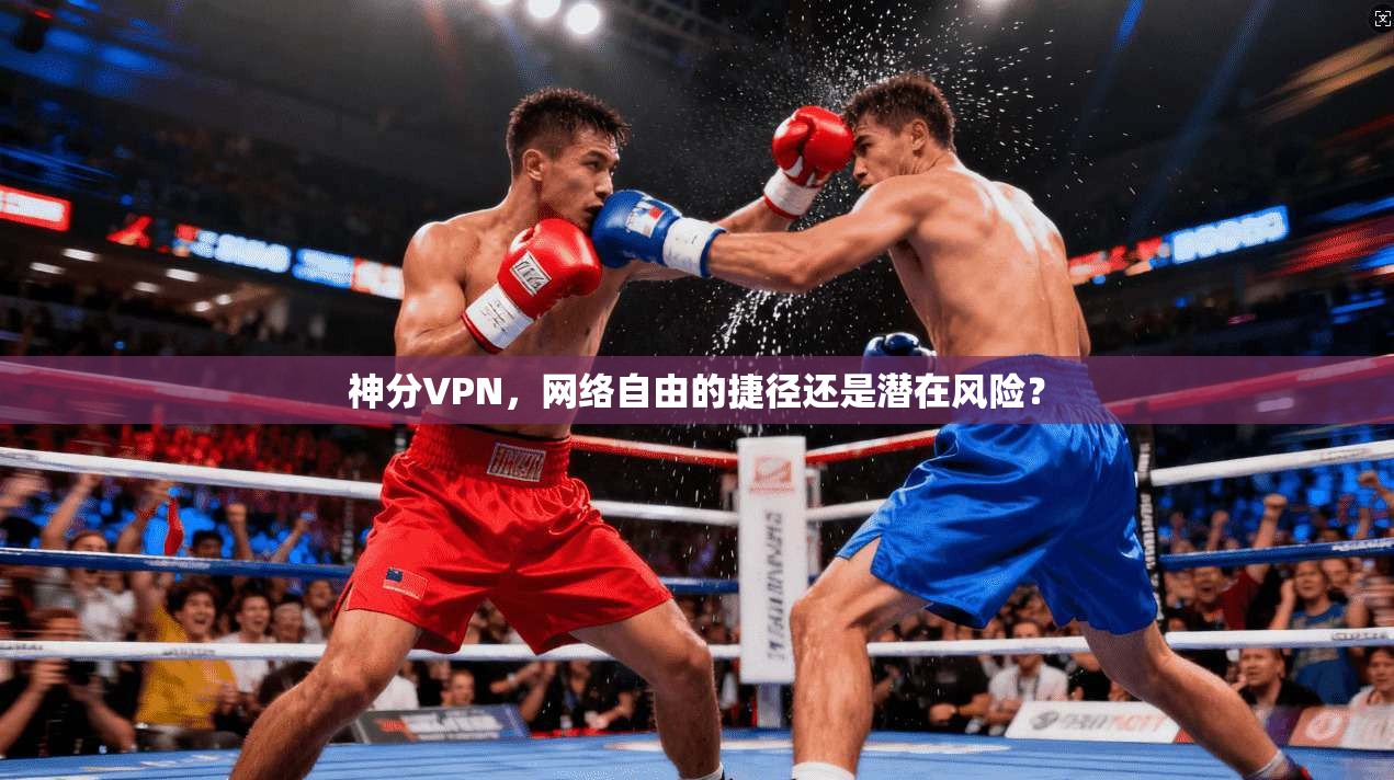 神分VPN，网络自由的捷径还是潜在风险？  第1张