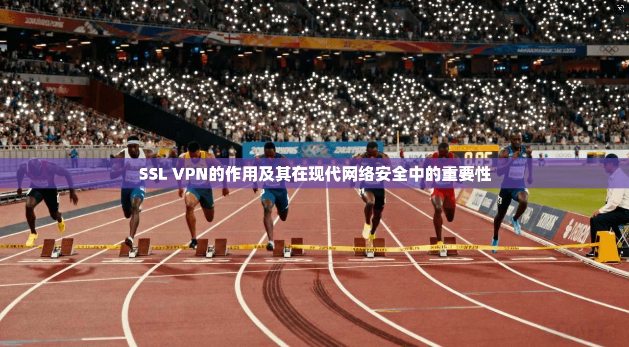 SSL VPN的作用及其在现代网络安全中的重要性  第1张