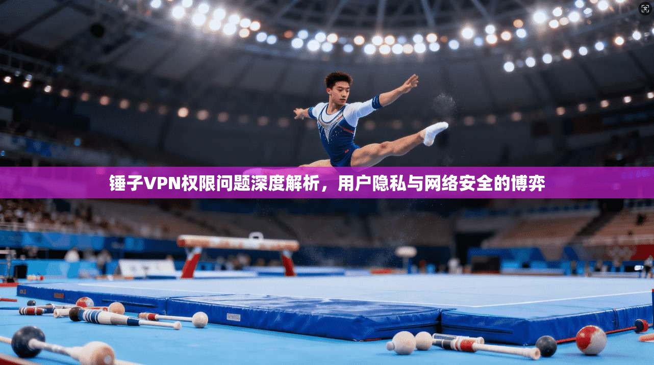 锤子VPN权限问题深度解析，用户隐私与网络安全的博弈  第1张