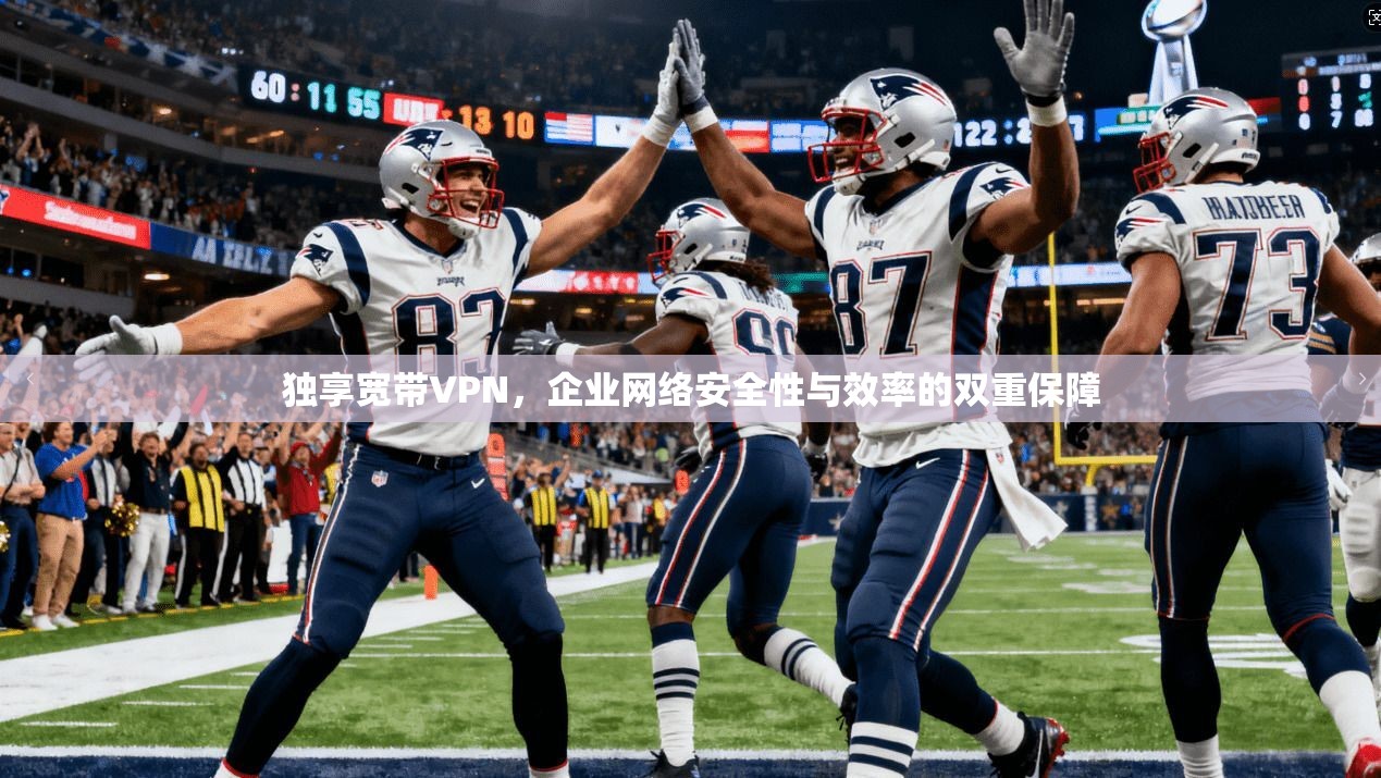 独享宽带VPN，企业网络安全性与效率的双重保障  第1张