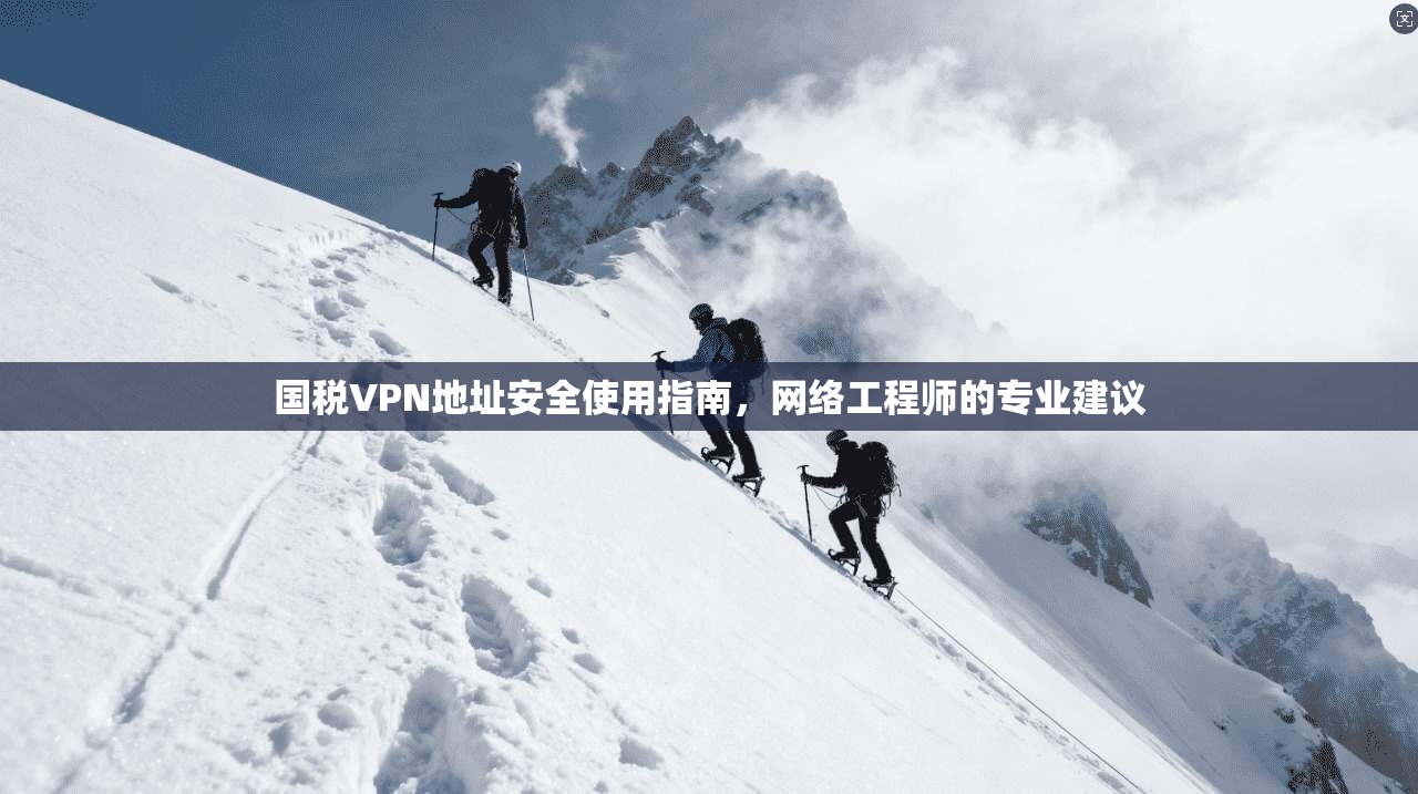 国税VPN地址安全使用指南，网络工程师的专业建议  第1张