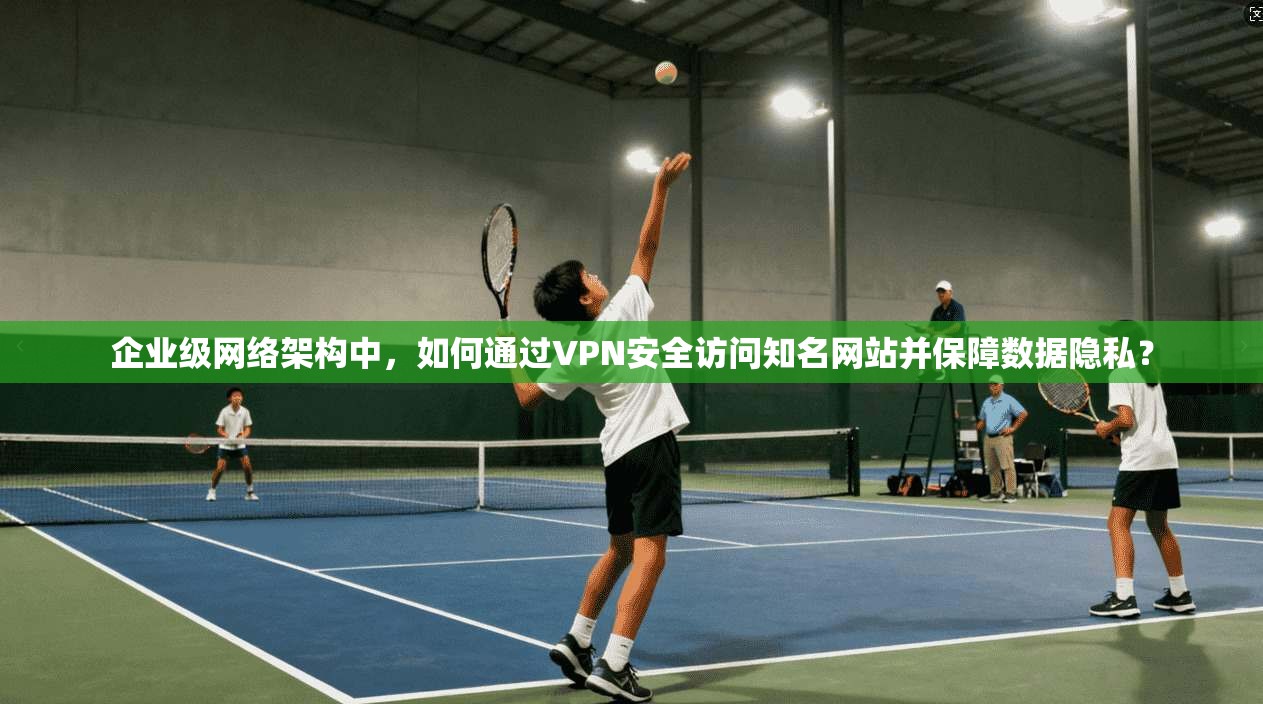 企业级网络架构中，如何通过VPN安全访问知名网站并保障数据隐私？  第1张