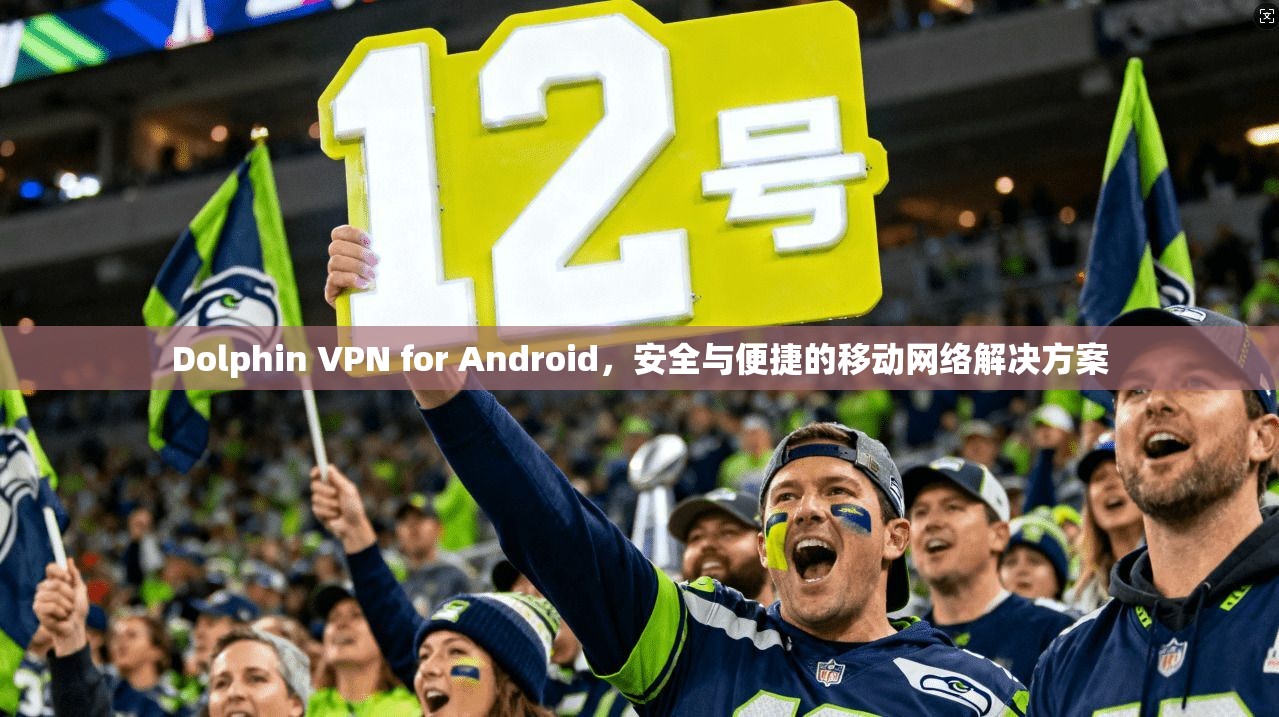 Dolphin VPN for Android，安全与便捷的移动网络解决方案  第1张