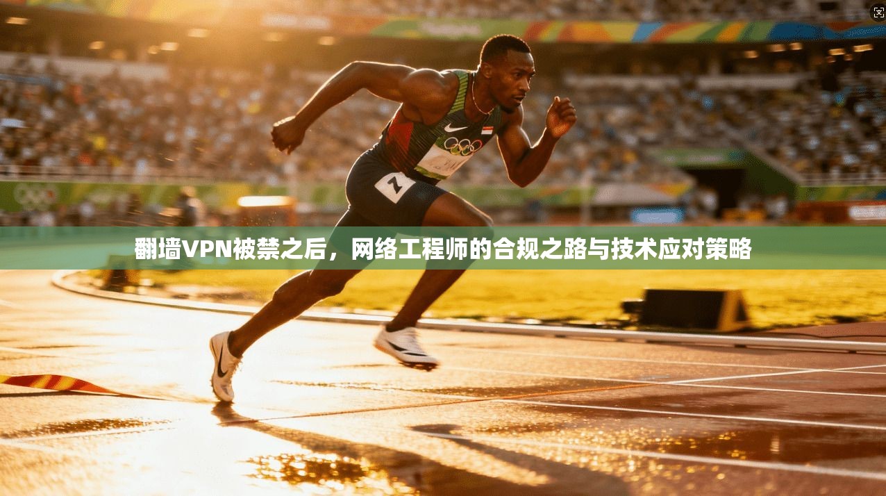 翻墙VPN被禁之后，网络工程师的合规之路与技术应对策略  第1张