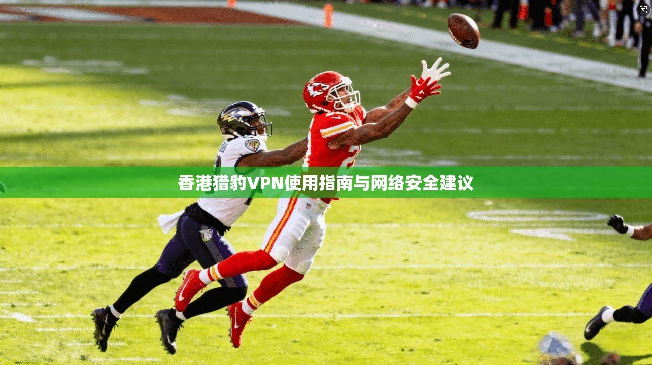 香港猎豹VPN使用指南与网络安全建议  第1张