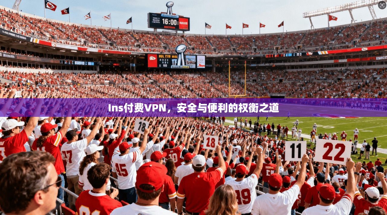 Ins付费VPN，安全与便利的权衡之道  第1张