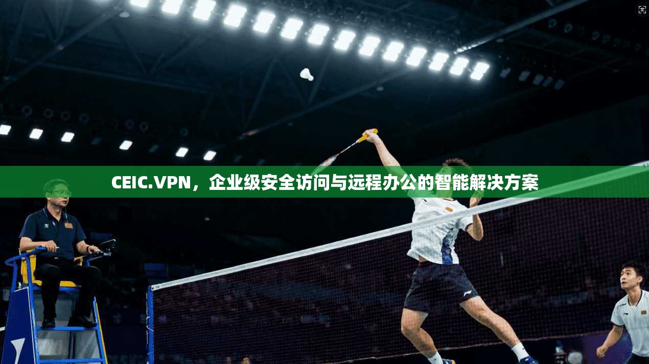 CEIC.VPN，企业级安全访问与远程办公的智能解决方案  第1张