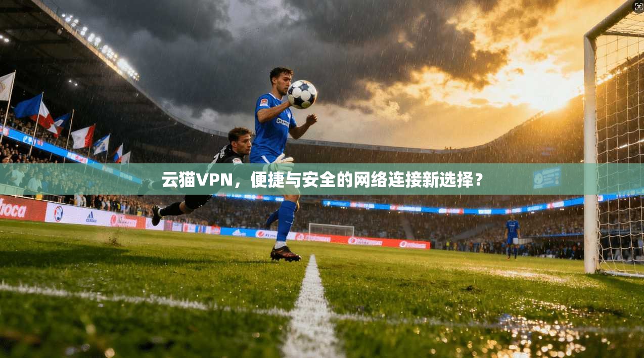 云猫VPN，便捷与安全的网络连接新选择？  第1张