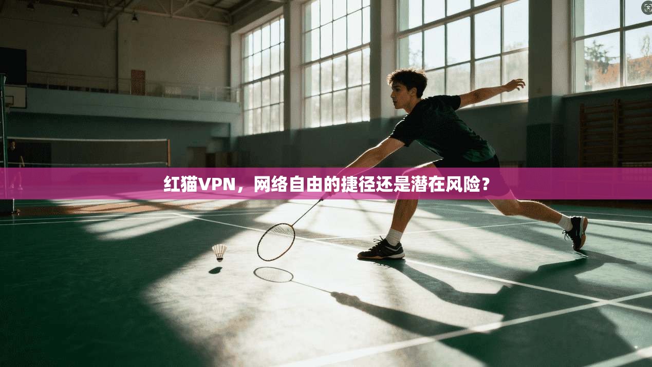 红猫VPN，网络自由的捷径还是潜在风险？  第1张