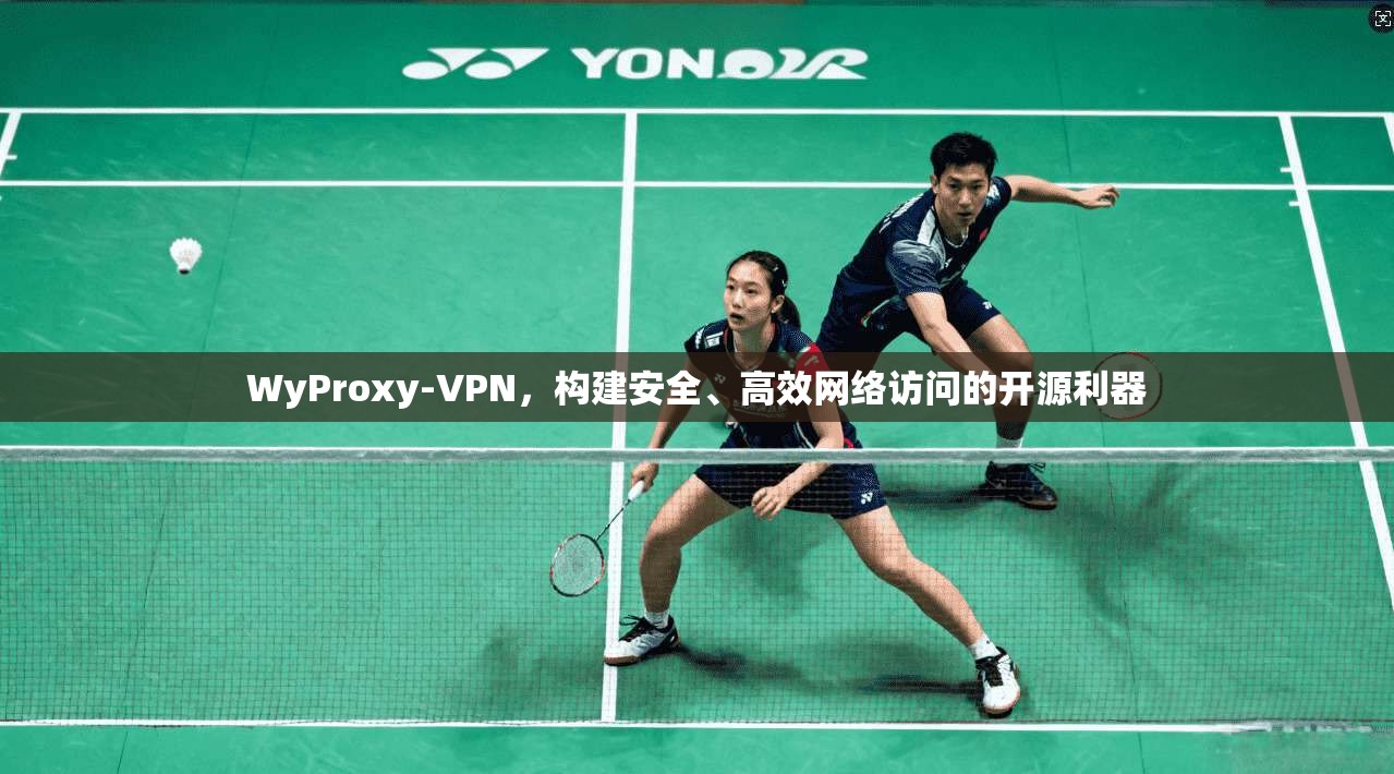 WyProxy-VPN，构建安全、高效网络访问的开源利器  第1张