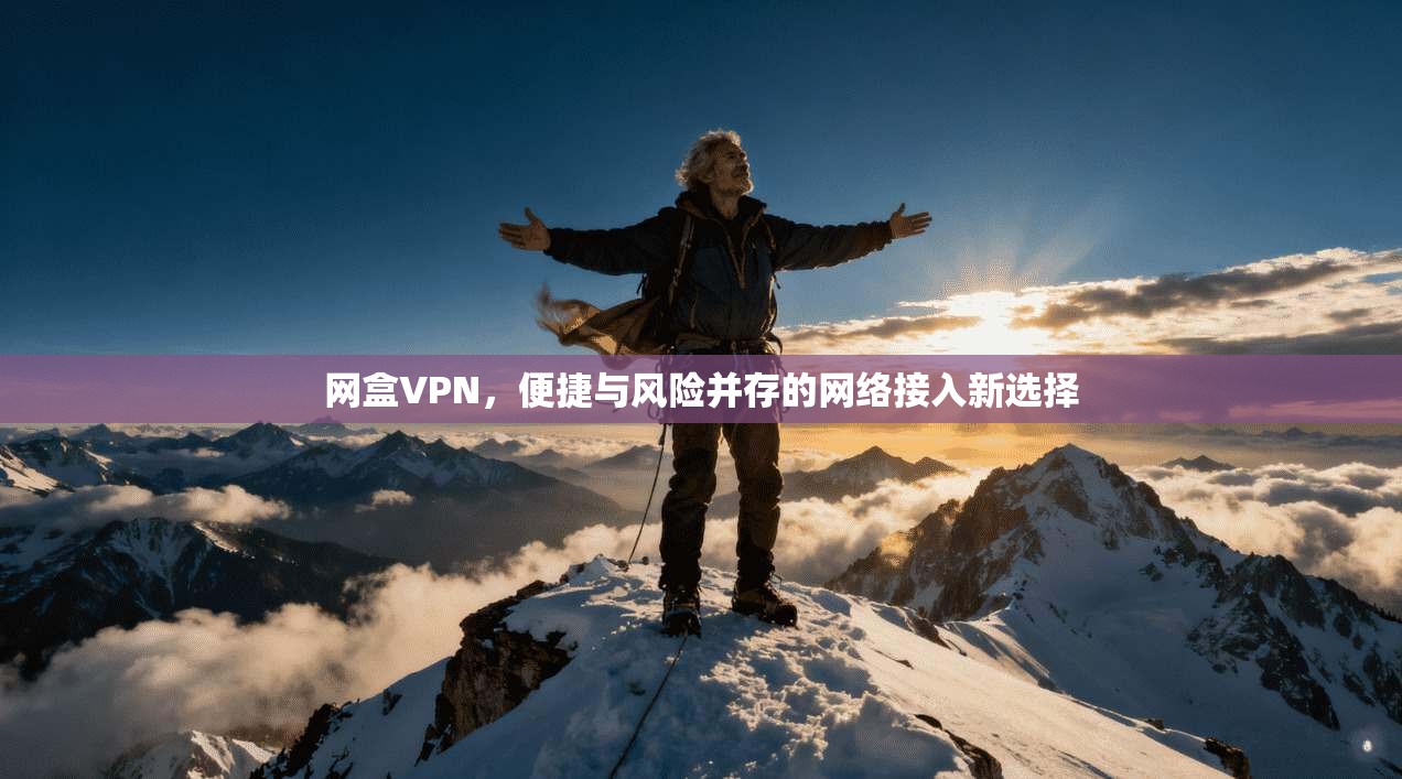 网盒VPN,便捷与风险并存的网络接入新选择 第1张 网盒VPN,便捷与风险并存的网络接入新选择 第1张