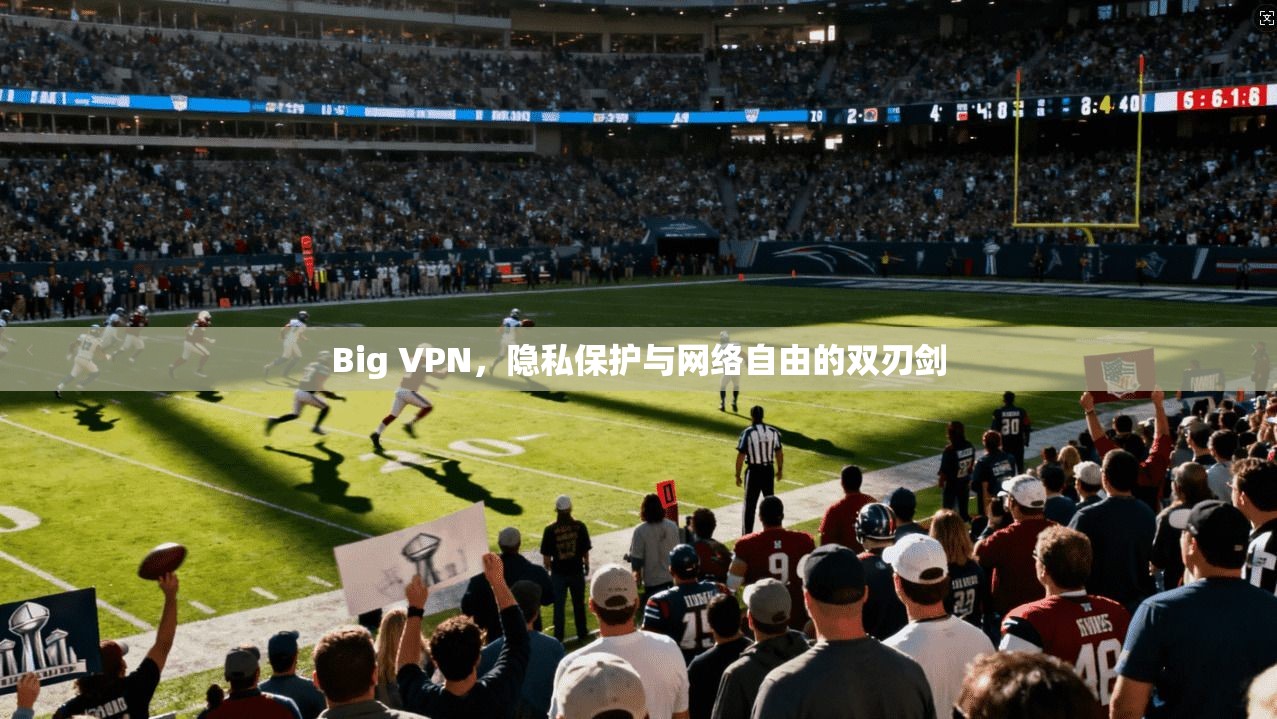 Big VPN,隐私保护与网络自由的双刃剑 第1张 Big VPN,隐私保护与网络自由的双刃剑 第1张