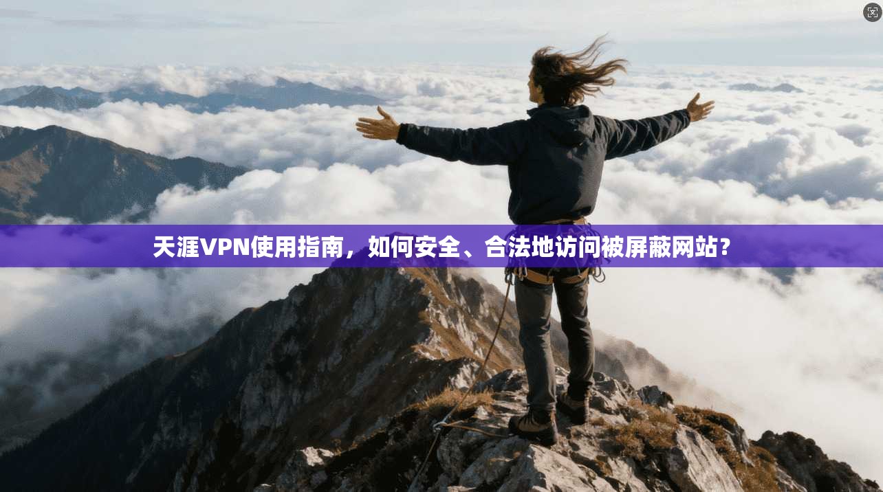 天涯VPN使用指南，如何安全、合法地访问被屏蔽网站？  第1张