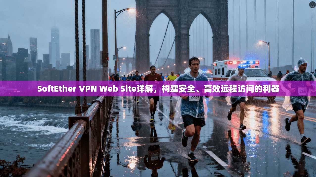 SoftEther VPN Web Site详解，构建安全、高效远程访问的利器  第1张
