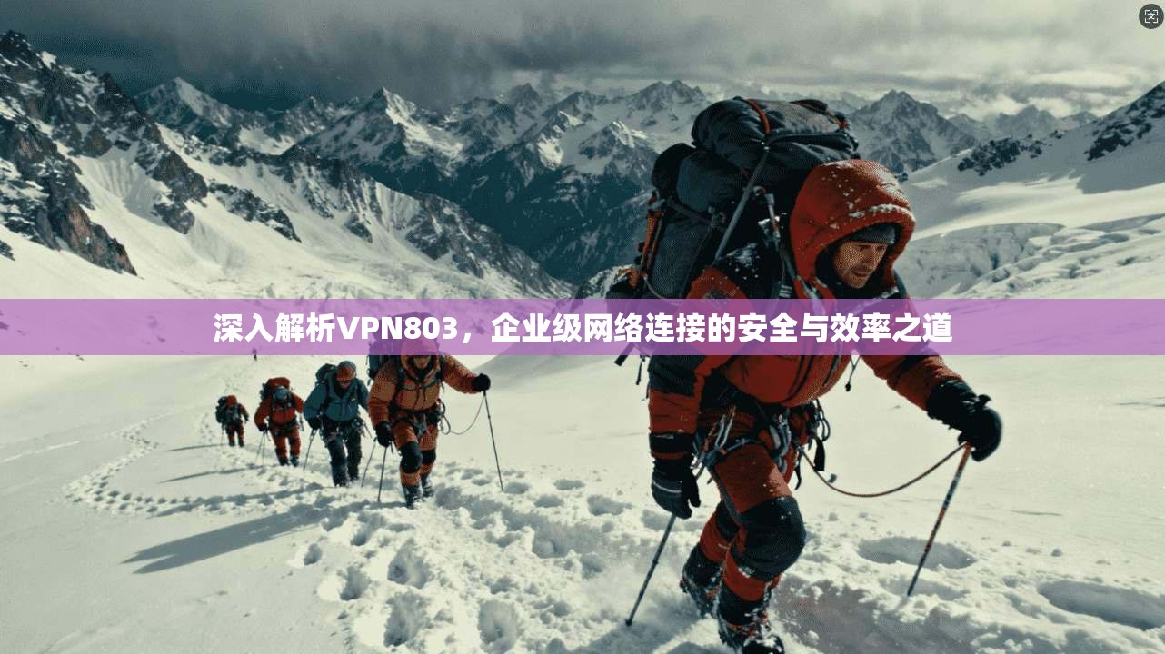 深入解析VPN803，企业级网络连接的安全与效率之道  第1张