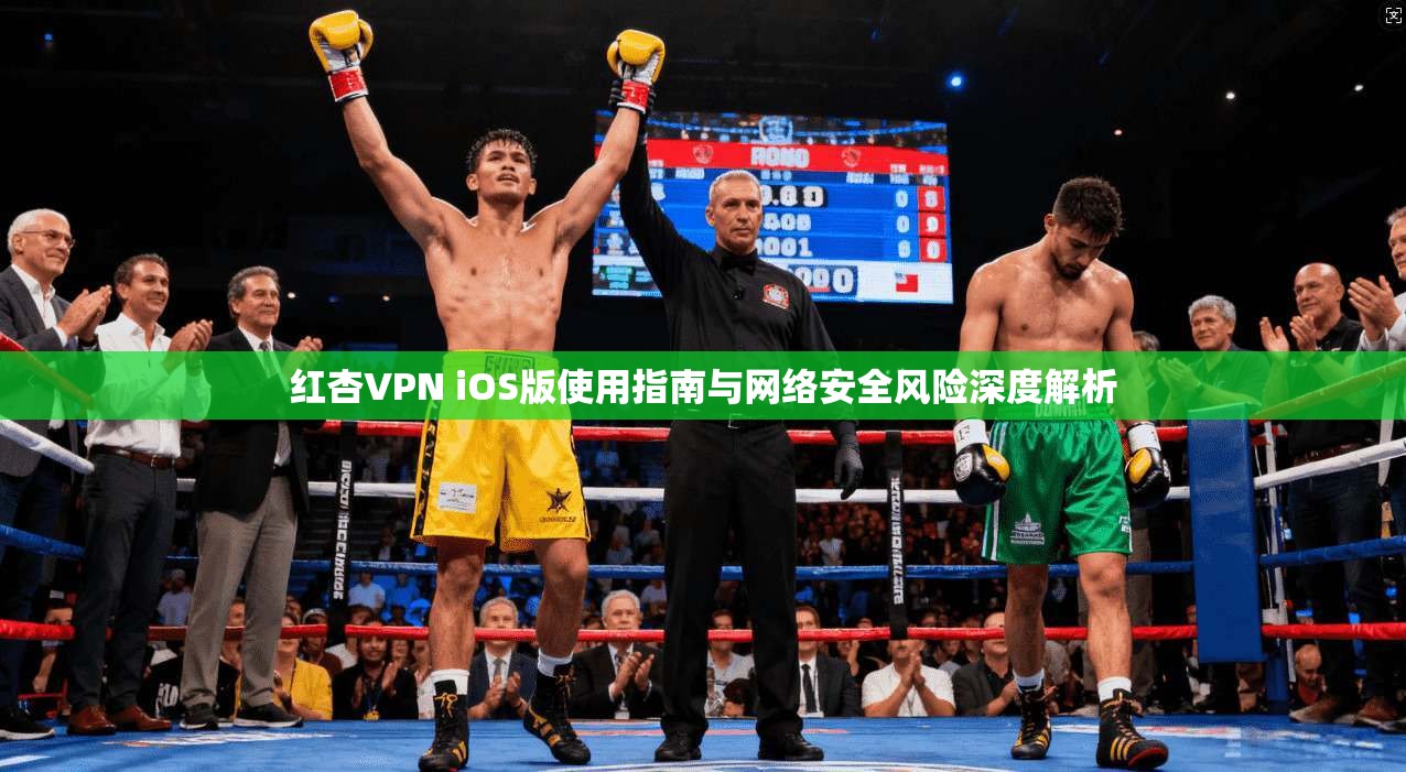 红杏VPN iOS版使用指南与网络安全风险深度解析  第1张