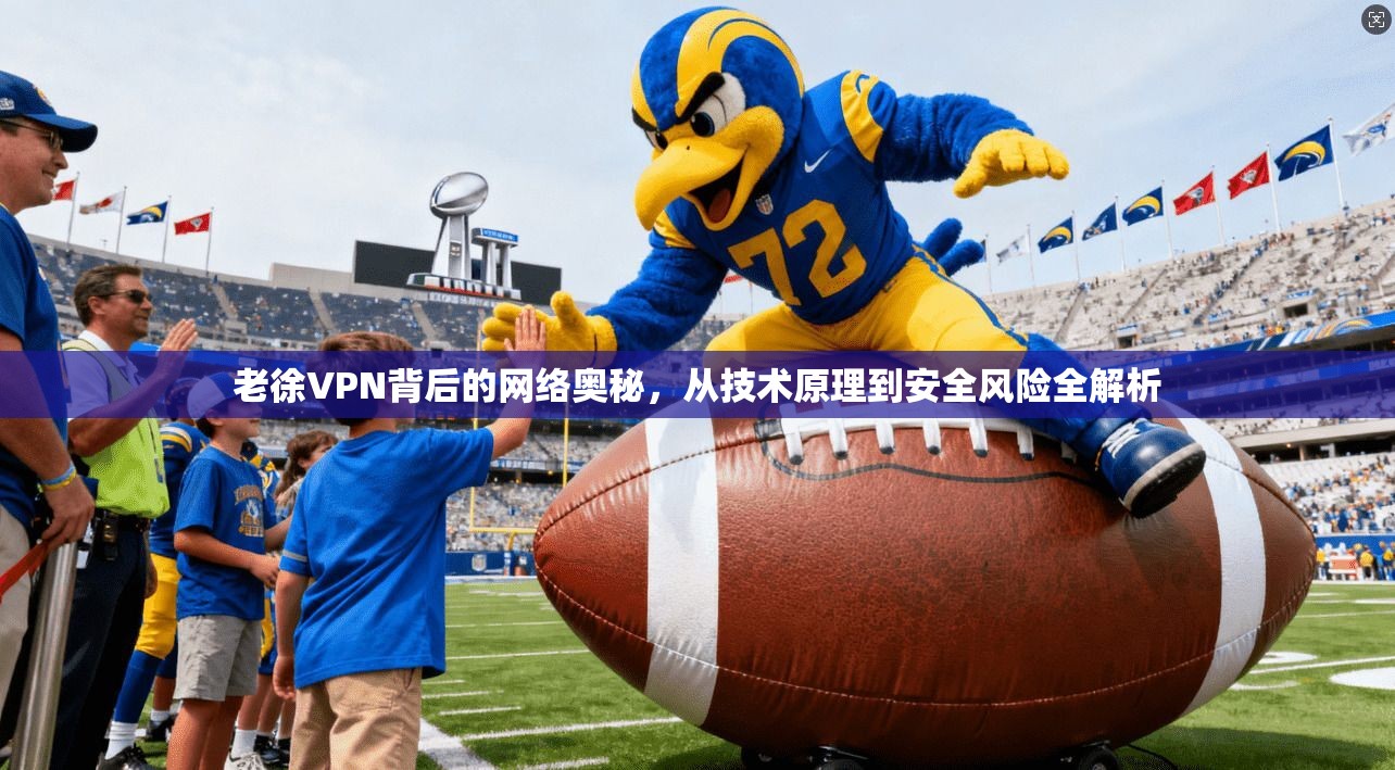 老徐VPN背后的网络奥秘,从技术原理到安全风险全解析 第1张 老徐VPN背后的网络奥秘,从技术原理到安全风险全解析 第1张