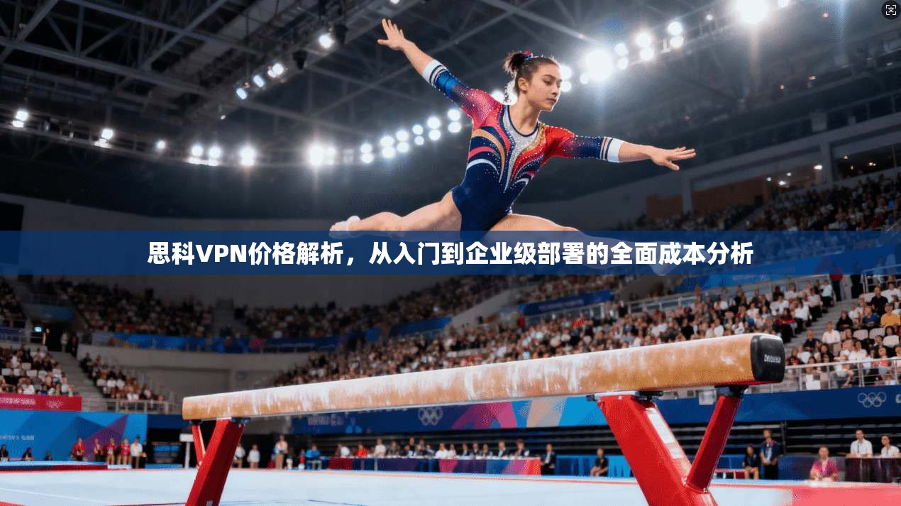 思科VPN价格解析,从入门到企业级部署的全面成本分析 第1张 思科VPN价格解析,从入门到企业级部署的全面成本分析 第1张
