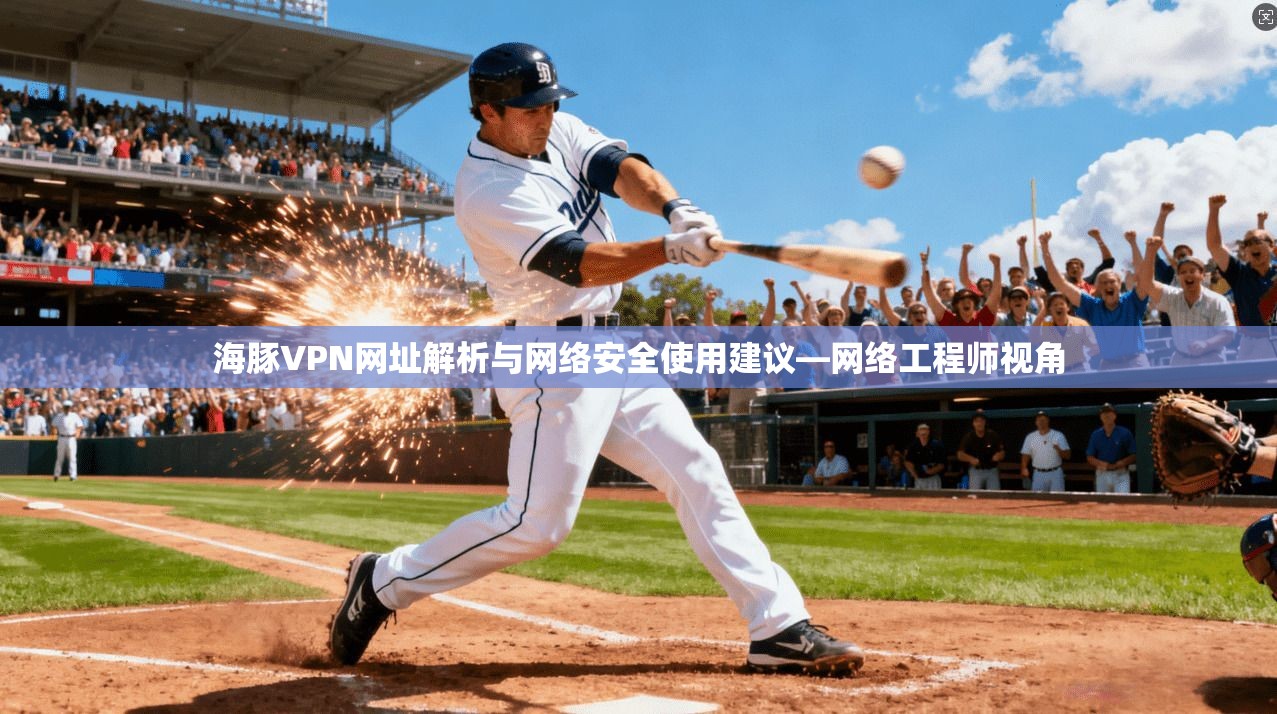 海豚VPN网址解析与网络安全使用建议—网络工程师视角  第1张