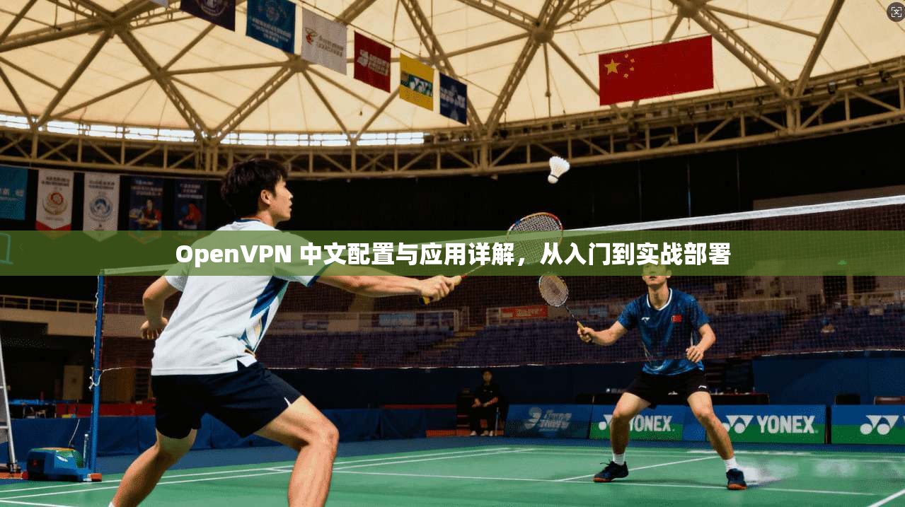 OpenVPN 中文配置与应用详解，从入门到实战部署  第1张