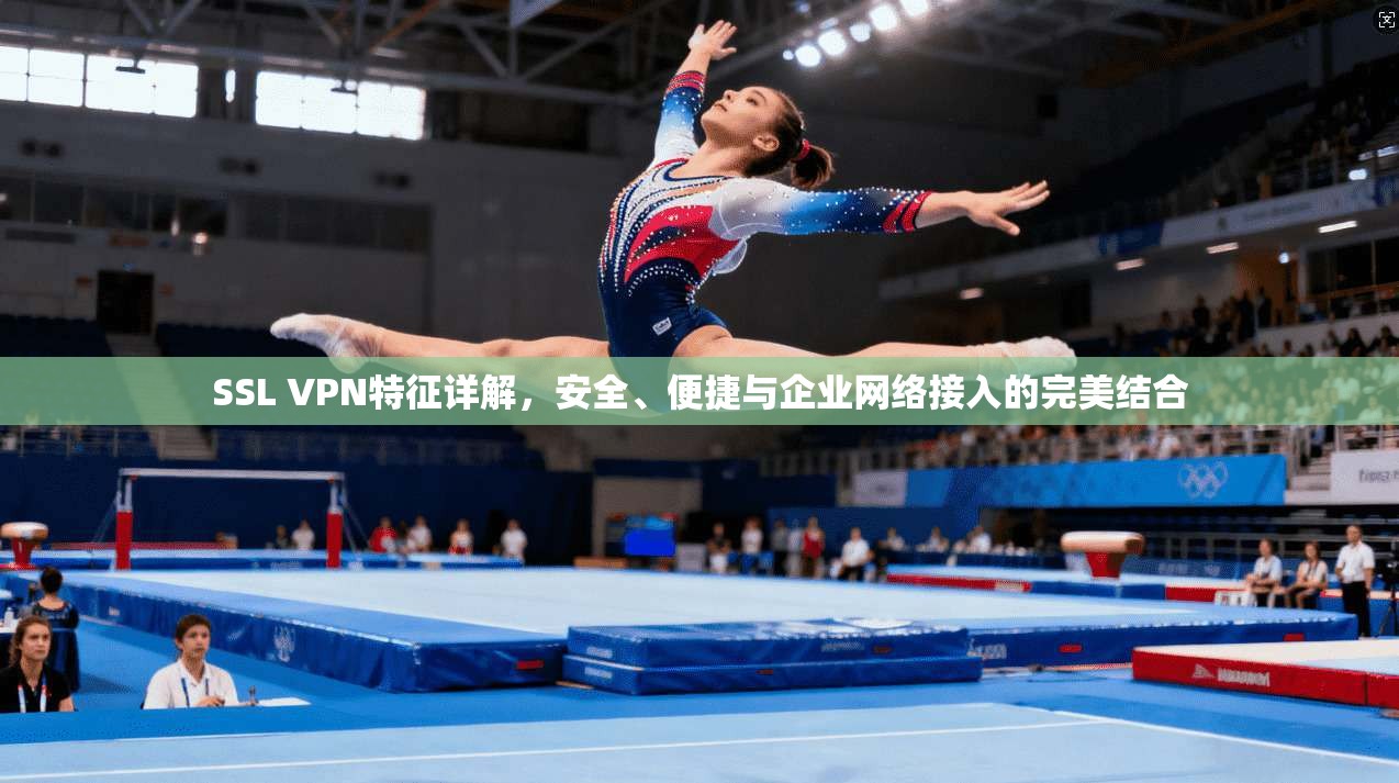 SSL VPN特征详解,安全、便捷与企业网络接入的完美结合 第1张 SSL VPN特征详解,安全、便捷与企业网络接入的完美结合 第1张