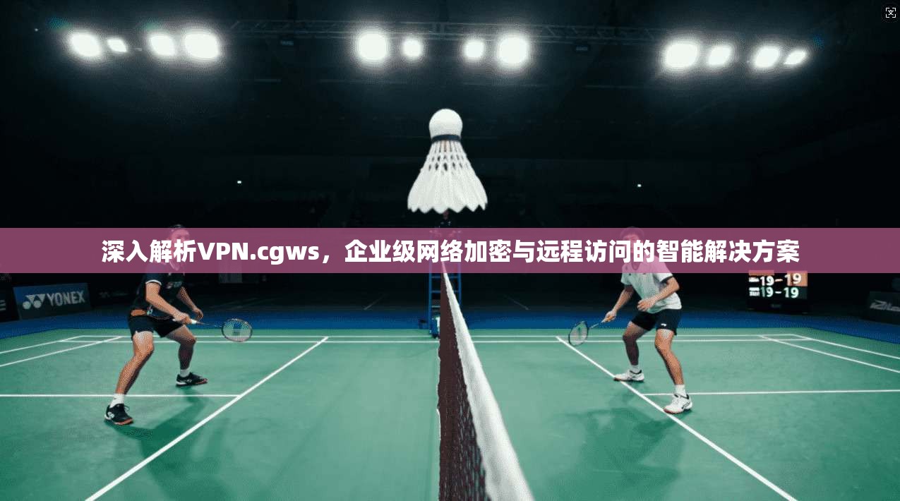 深入解析VPN.cgws，企业级网络加密与远程访问的智能解决方案  第1张