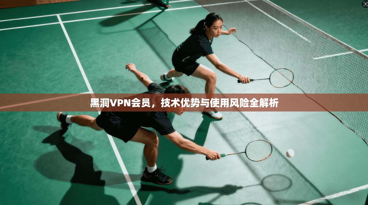 黑洞VPN会员，技术优势与使用风险全解析  第1张