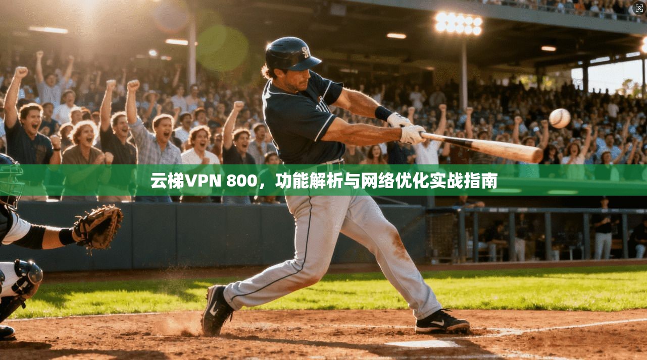云梯VPN 800，功能解析与网络优化实战指南  第1张