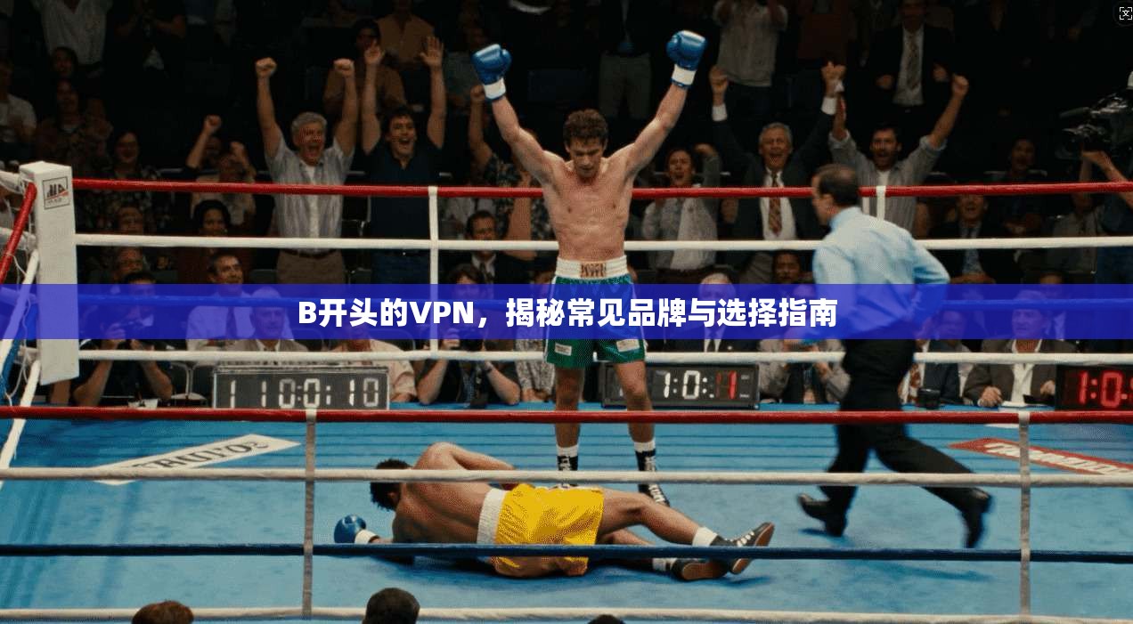 B开头的VPN，揭秘常见品牌与选择指南  第1张