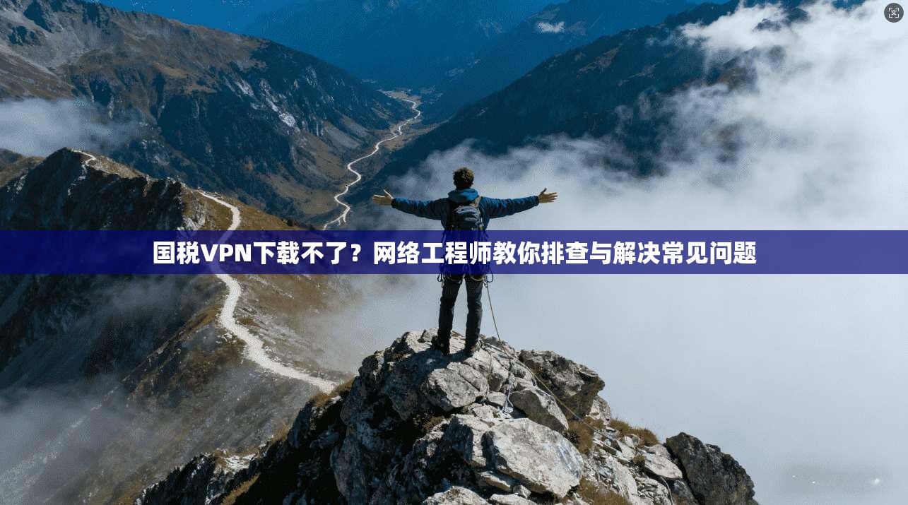 国税VPN下载不了？网络工程师教你排查与解决常见问题  第1张