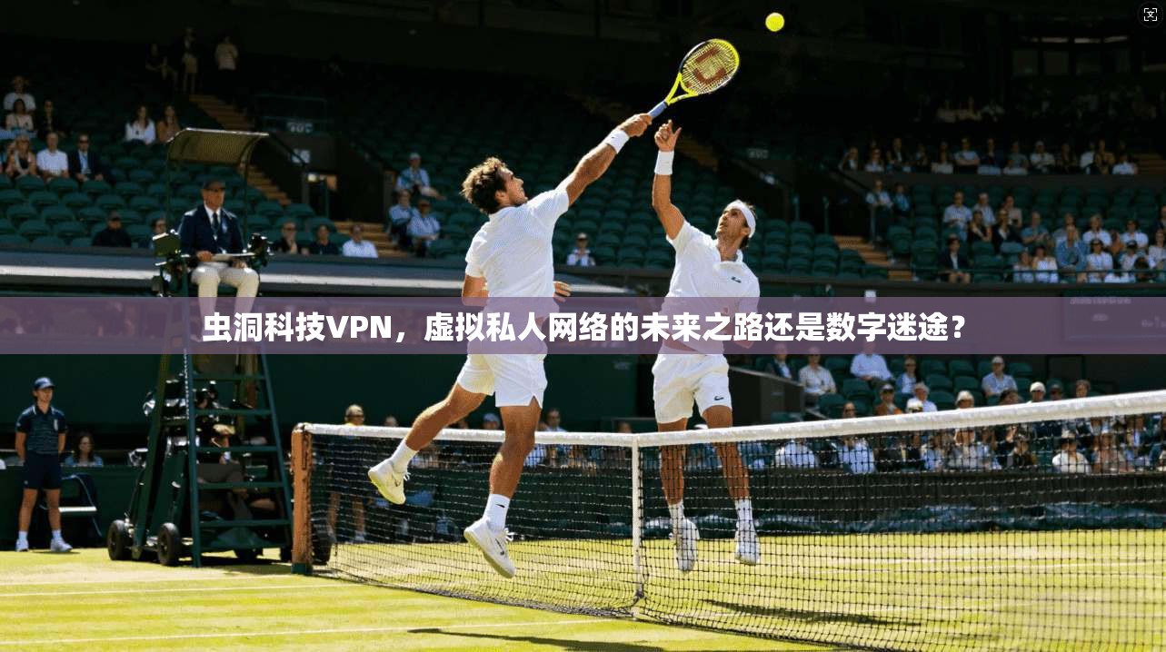 虫洞科技VPN，虚拟私人网络的未来之路还是数字迷途？  第1张