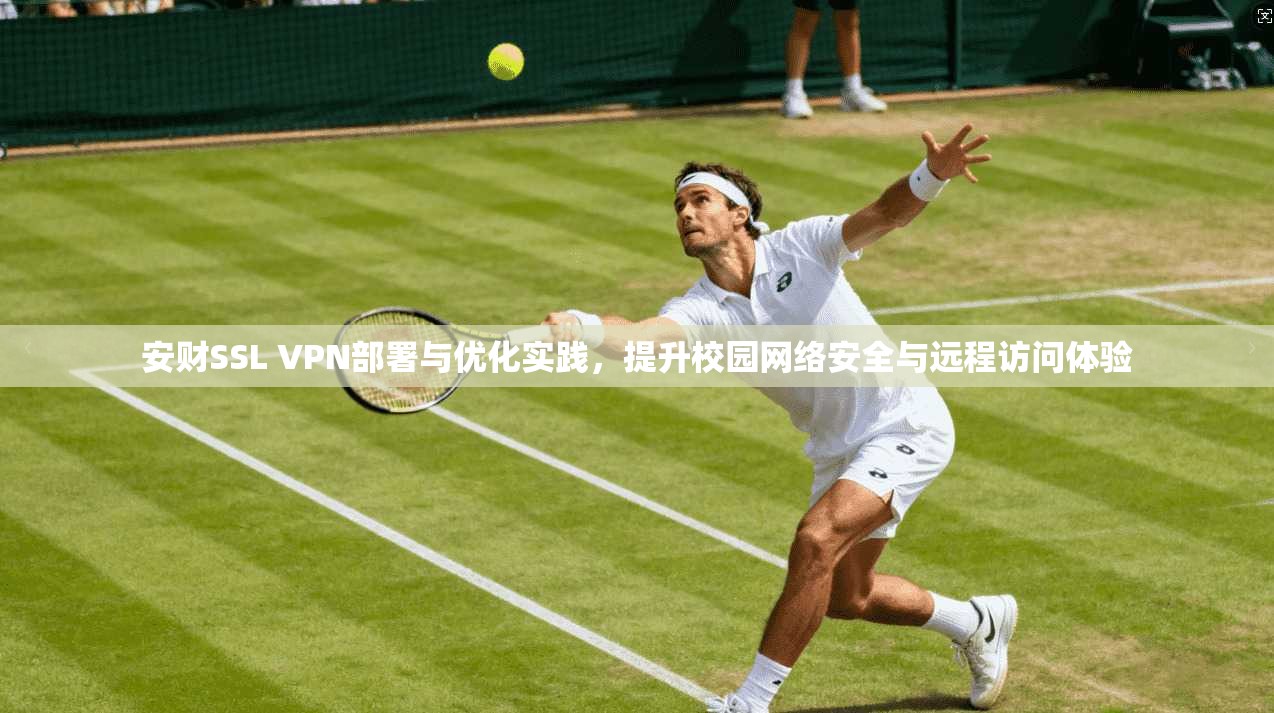 安财SSL VPN部署与优化实践,提升校园网络安全与远程访问体验 第1张 安财SSL VPN部署与优化实践,提升校园网络安全与远程访问体验 第1张