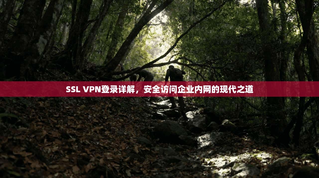 SSL VPN登录详解,安全访问企业内网的现代之道 第1张 SSL VPN登录详解,安全访问企业内网的现代之道 第1张
