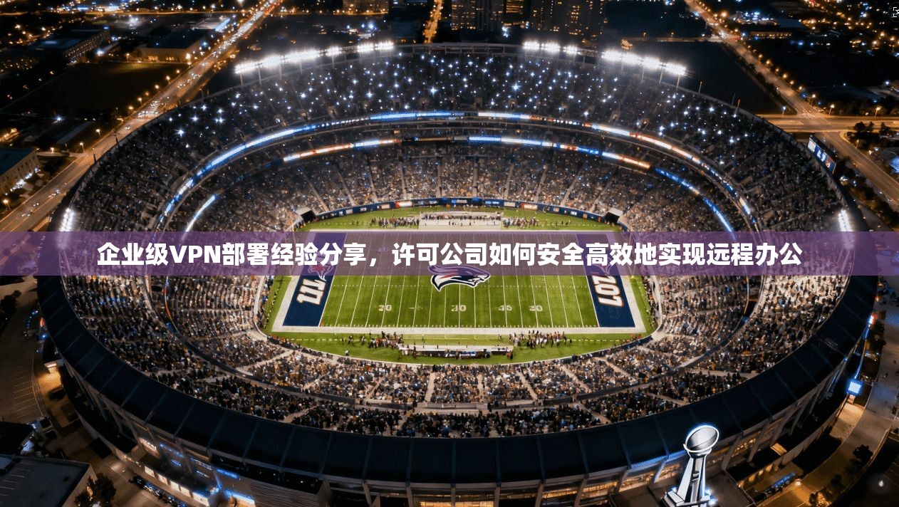 企业级VPN部署经验分享，许可公司如何安全高效地实现远程办公  第1张