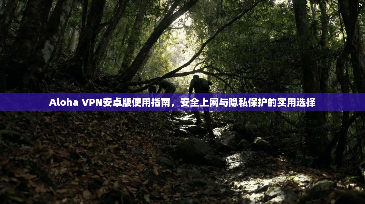 Aloha VPN安卓版使用指南，安全上网与隐私保护的实用选择  第1张