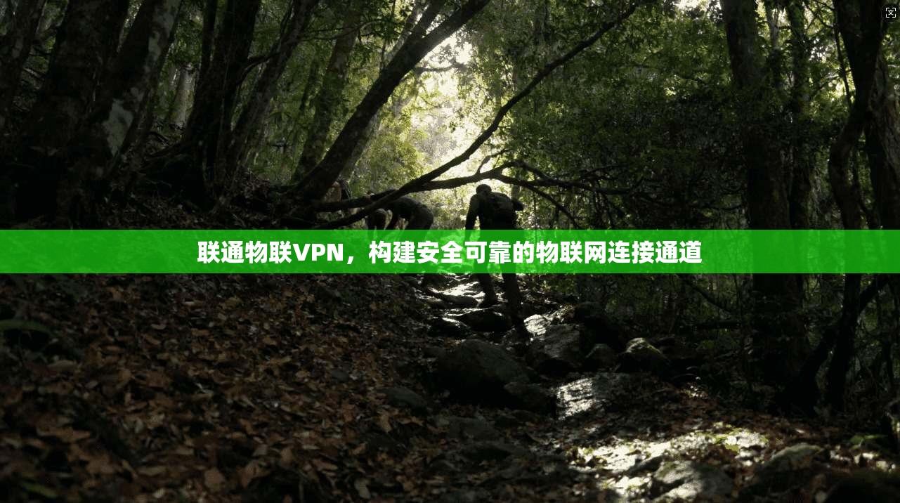 联通物联VPN，构建安全可靠的物联网连接通道  第1张