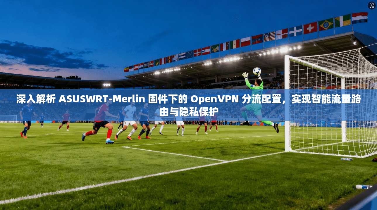 深入解析 ASUSWRT-Merlin 固件下的 OpenVPN 分流配置,实现智能流量路由与隐私保护 第1张 深入解析 ASUSWRT-Merlin 固件下的 OpenVPN 分流配置,实现智能流量路由与隐私保护 第1张