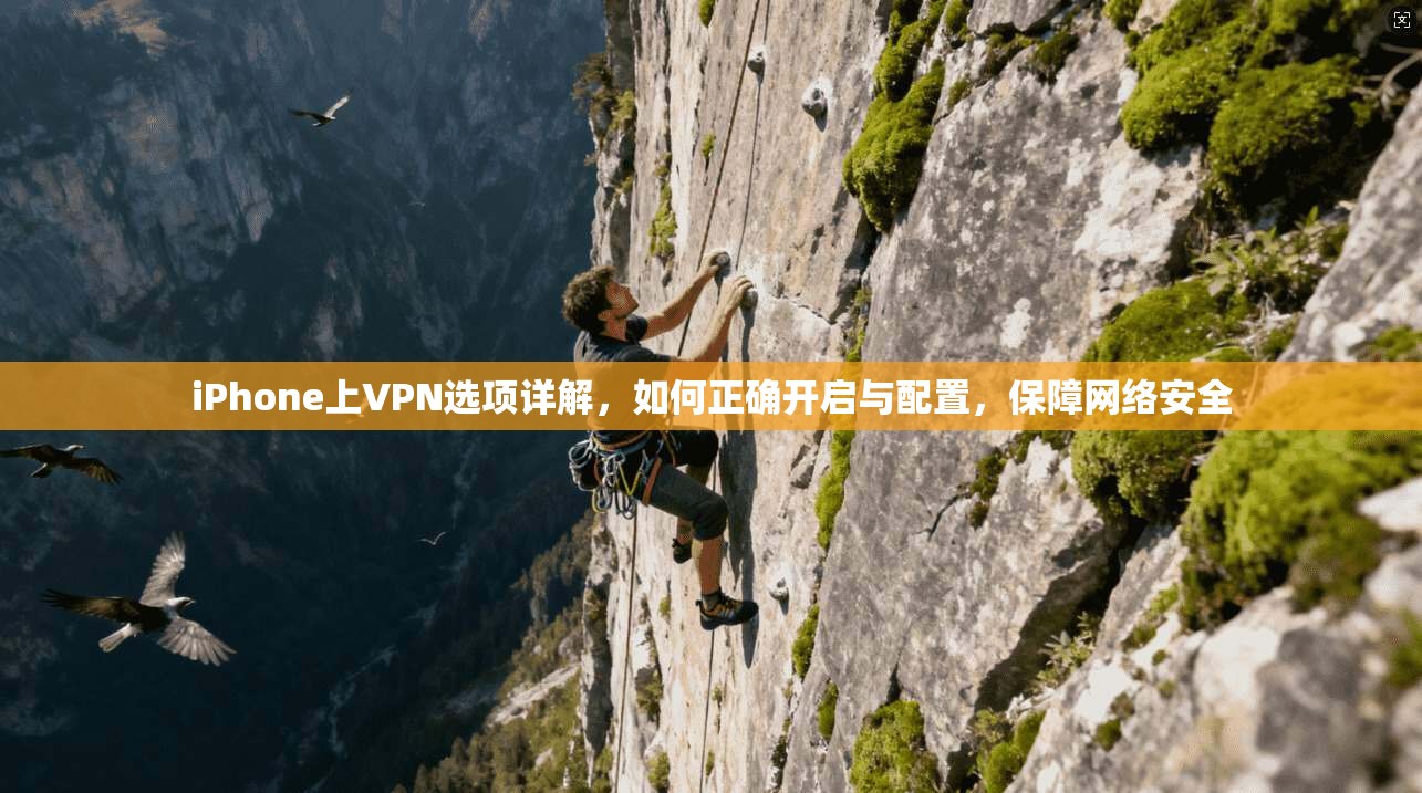 iPhone上VPN选项详解,如何正确开启与配置,保障网络安全 第1张 iPhone上VPN选项详解,如何正确开启与配置,保障网络安全 第1张