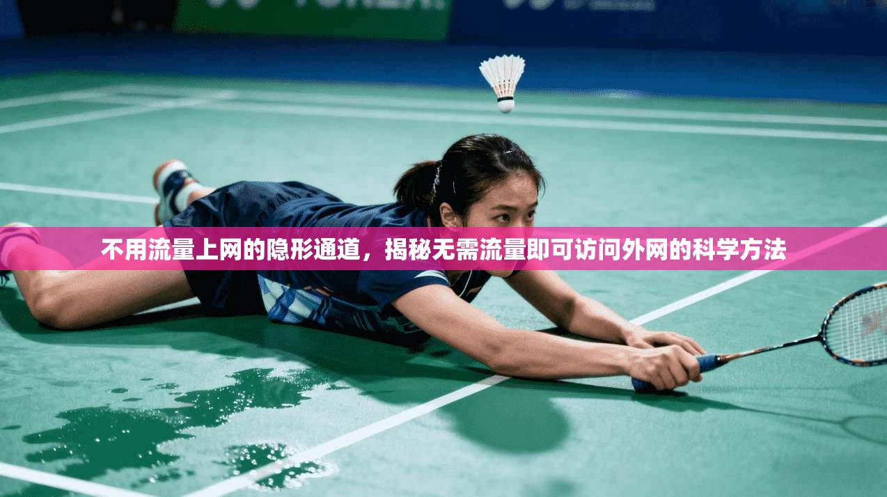 不用流量上网的隐形通道,揭秘无需流量即可访问外网的科学方法 第1张 不用流量上网的隐形通道,揭秘无需流量即可访问外网的科学方法 第1张
