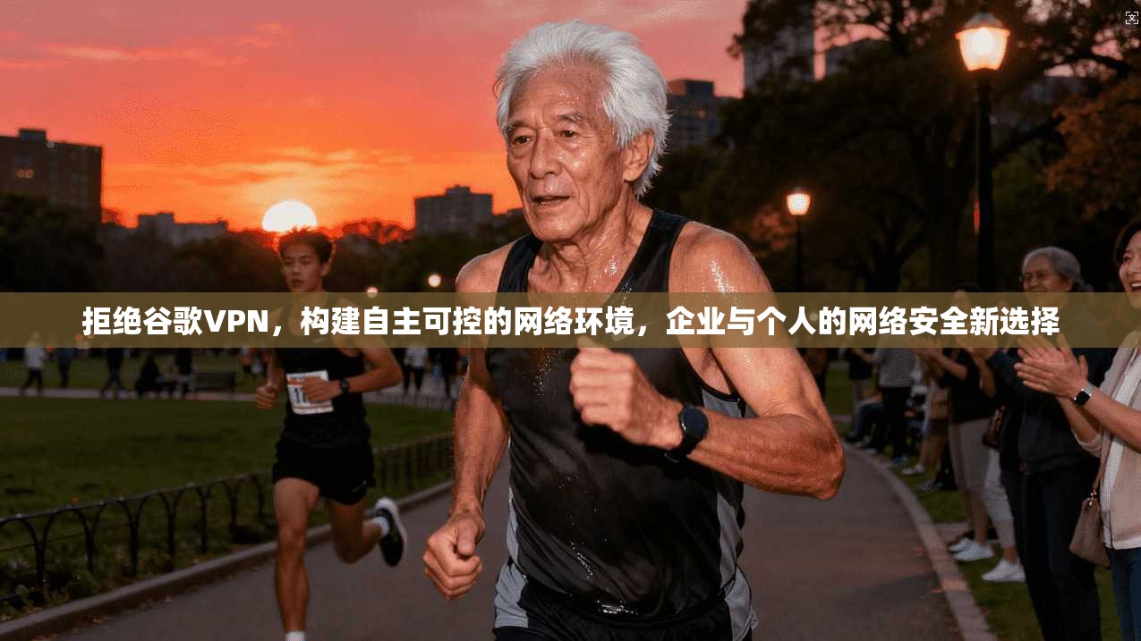拒绝谷歌VPN，构建自主可控的网络环境，企业与个人的网络安全新选择  第1张
