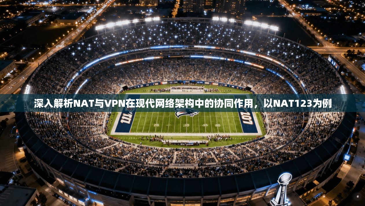 深入解析NAT与VPN在现代网络架构中的协同作用，以NAT123为例  第1张