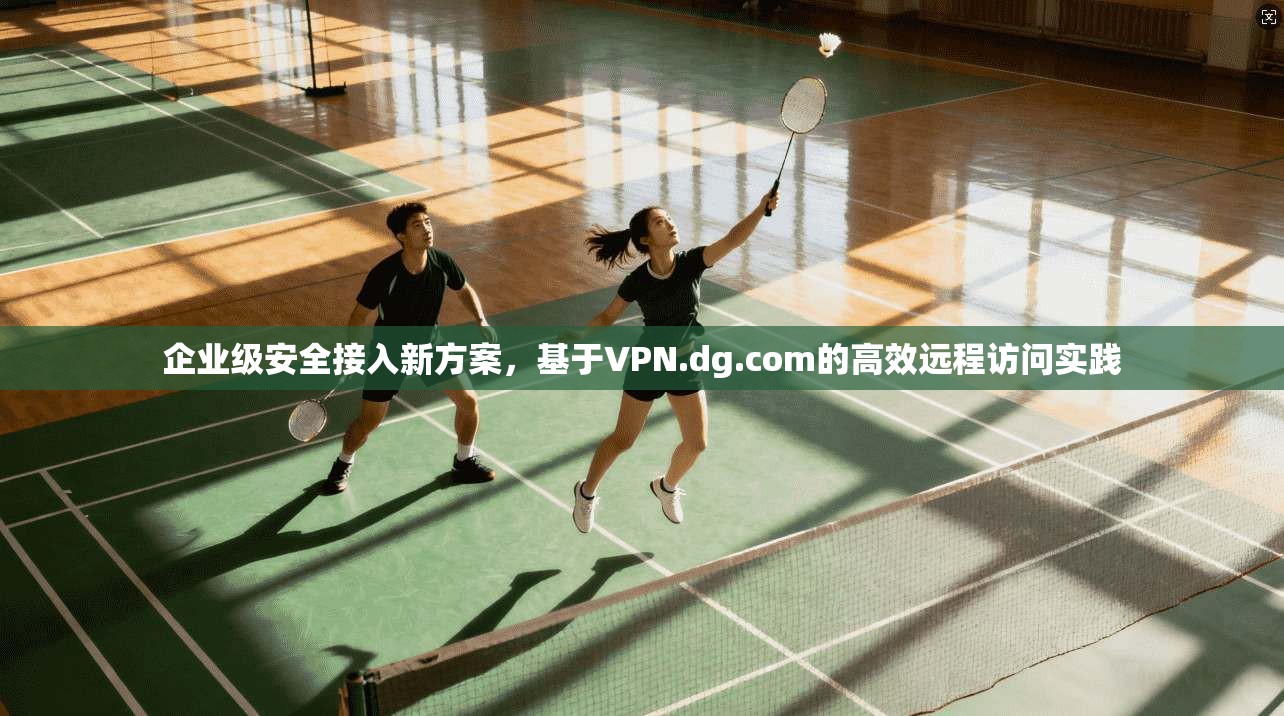 企业级安全接入新方案，基于VPN.dg.com的高效远程访问实践  第1张