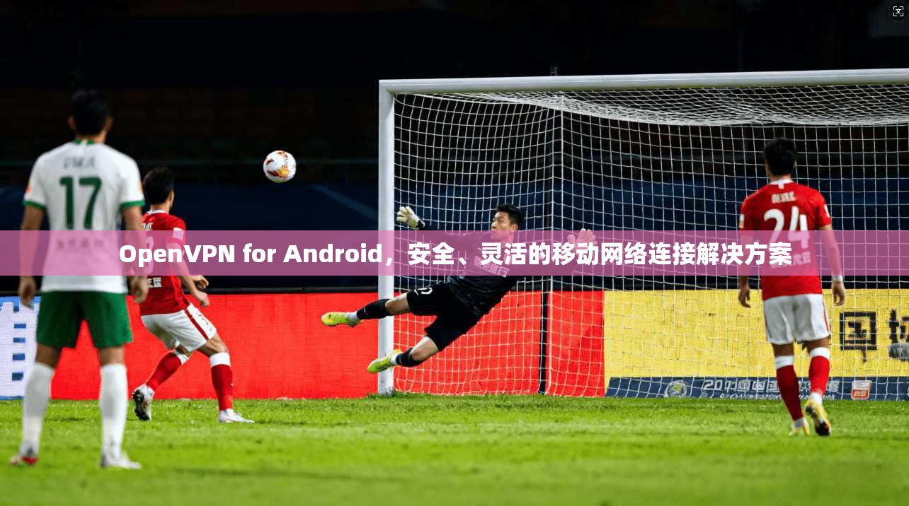 OpenVPN for Android,安全、灵活的移动网络连接解决方案 第1张 OpenVPN for Android,安全、灵活的移动网络连接解决方案 第1张