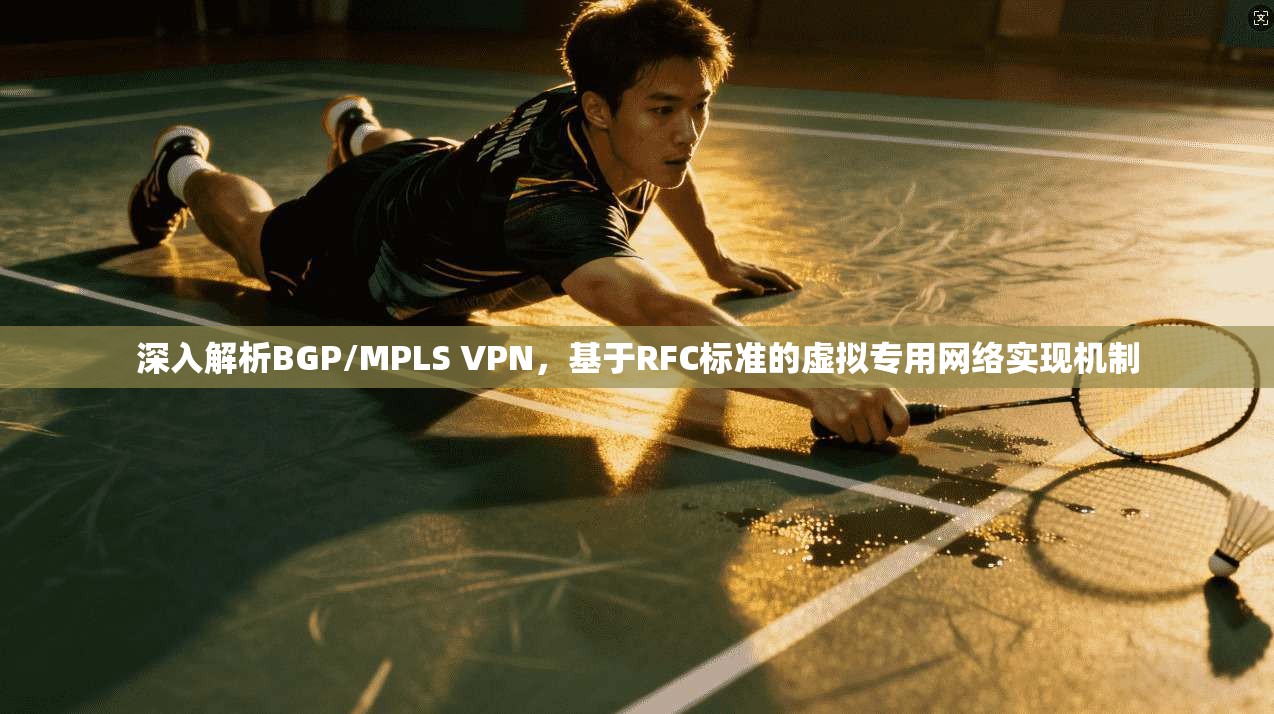 深入解析BGP/MPLS VPN，基于RFC标准的虚拟专用网络实现机制  第1张