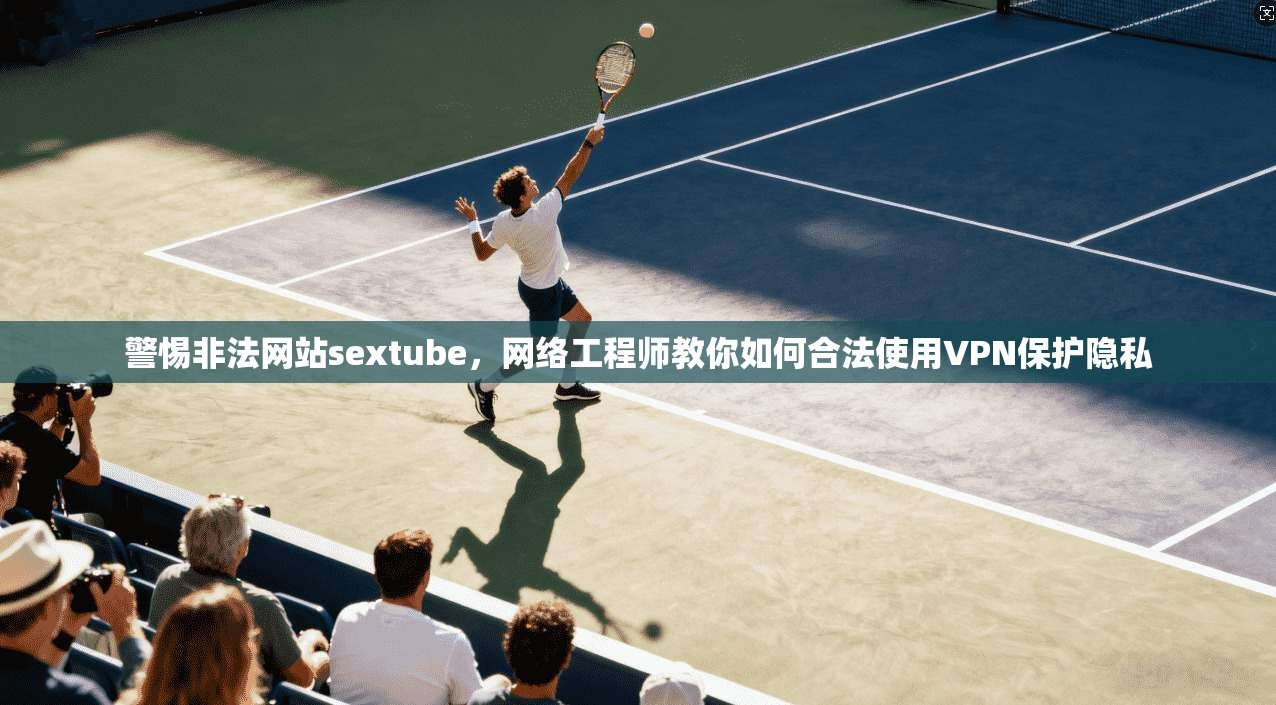 警惕非法网站sextube，网络工程师教你如何合法使用VPN保护隐私  第1张