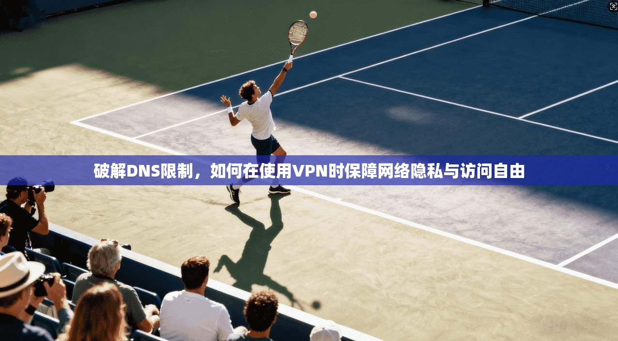 破解DNS限制，如何在使用VPN时保障网络隐私与访问自由  第1张