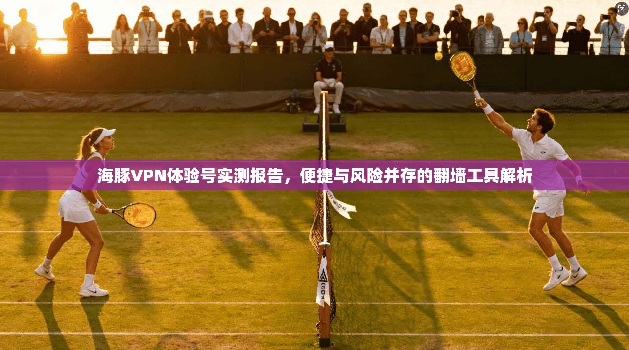 海豚VPN体验号实测报告，便捷与风险并存的翻墙工具解析  第1张