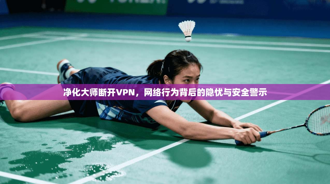 净化大师断开VPN，网络行为背后的隐忧与安全警示  第1张